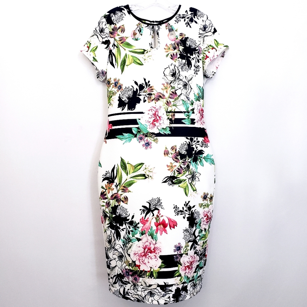 Nwot Danni and Nicole Gabby Skye White Floral Sheath Midi Dress